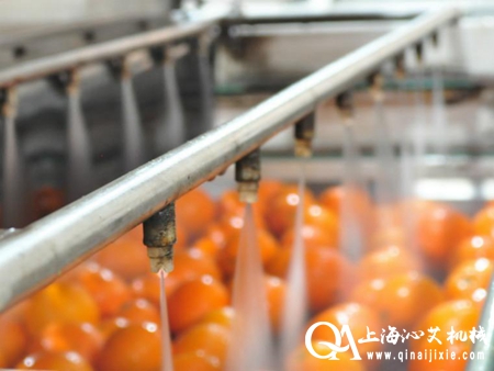 全自動果蔬清洗機 全自動果蔬清洗機