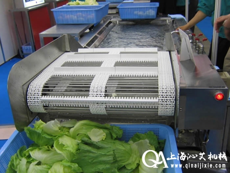 蔬菜氣泡清洗機 蔬菜氣泡清洗機